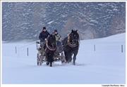 Bavaria - Cart-in-snow